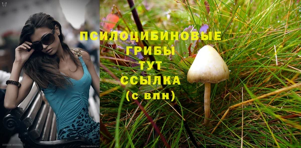 PSILOCYBIN Абинск